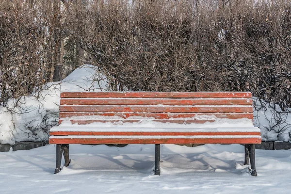 一个木漆棕色美丽的长凳与黑色的锻铁腿站着与白雪是在一个公园在冬天 — 图库照片