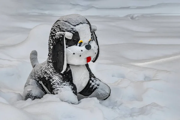 Krásný Malý Pes Bílé Černé Hračka Bílým Sněhem Parku Zimě — Stock fotografie