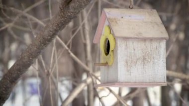 Küçük bir sarı baştankara kontrplak ve yeme ve kışın parkta uçan sarı bir kuş ve sincap besleyici eve uçan.