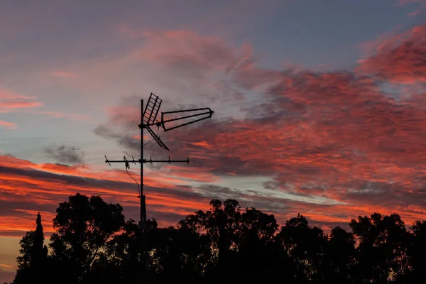 There is a black metallic television antenna and a group of black trees on the beautiful red colorful sunset sky background — Stock Photo, Image