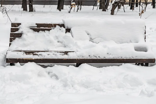Eine hölzerne bemalte braune Farbe schöne Bank mit schwarzen schmiedeeisernen Beinen steht mit weißem Schnee in einem Park im Winter — Stockfoto