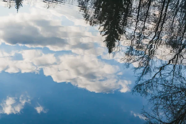 公園内の白い雲と黒い木々と青空を反射した池の水面 — ストック写真