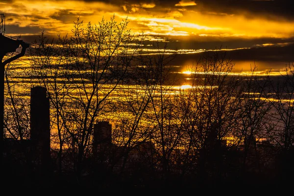 Silhuetas pretas de árvores sem folhas e edifícios e fios pretos estão em um fundo céu laranja com nuvens amarelas vermelhas e sol pôr do sol — Fotografia de Stock