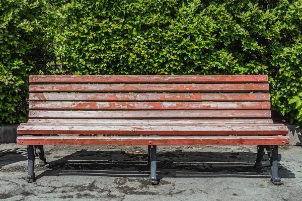 Stará dřevěná pomalovaná hnědá barva krásná lavička s černými ocelovými nohami je u chodníku v parku na křoví Cotoneaster melanokarpus — Stock fotografie