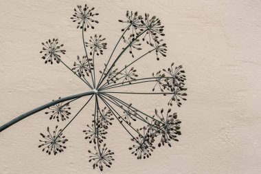 Bulanık sarı arka plan üzerinde dereotu tohumu bir dalı