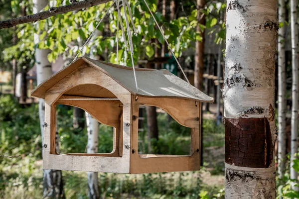 Altes gelbes Vogel- und Eichhörnchen-Futterhäuschen aus Sperrholz hängt im Sommer an einem weißen Seil an einer Birke im Park — Stockfoto