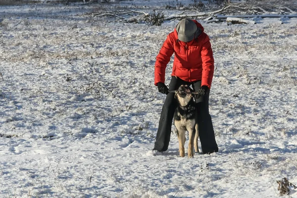 Woman in a red jacket and black pants plays with a beautiful brown and black dog in winter