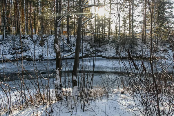 Um rio com gelo e reflexos e árvores no inverno — Fotografia de Stock