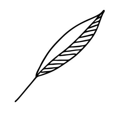 Beyaz arka planda izole edilmiş siyah bir yaprak tasviri