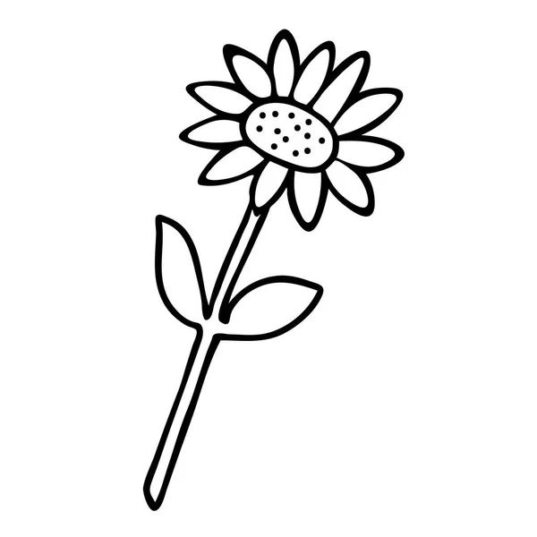 Vector illustratie van een zwarte zonnebloem geïsoleerd op een witte achtergrond — Stockvector