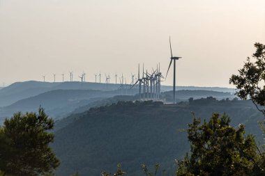 Rüzgar Türbinleri Gün Batımında Manzarada