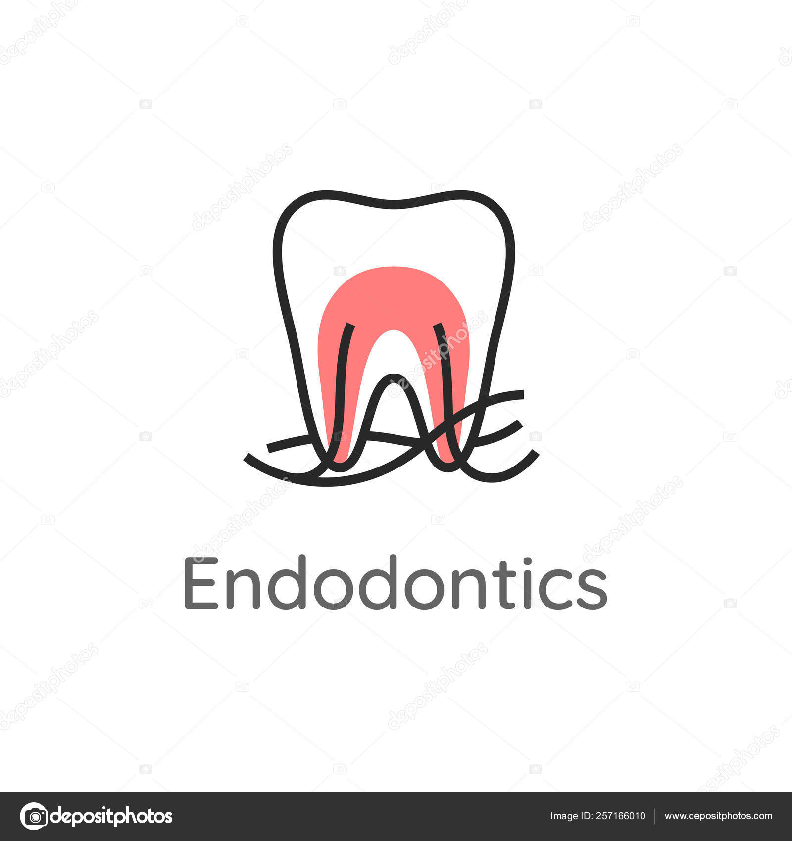 Will Sdn Endodontics 2025 Solve The Dentist Shortage? - wfwz0zj