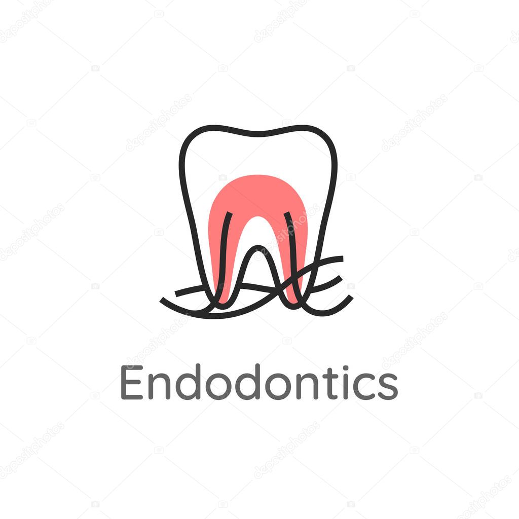 Endodontics. Tooth with root channels and nerves. Dental icon. Web pictogram for dentistry. Stomatology concept, logo or illustration. Tooth anatomy. Line style.