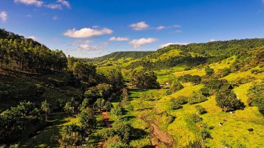 So Pedro - So Paulo - Brezilya evleri ve sığır otlatma ile tepeler arasında Vale.