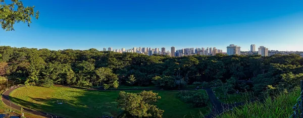 Ribeiro Preto Belediye parkı - So Paulo, Brezilya, mavi gökyüzü ile alacakaranlıkta belediye parkı Curupira Ribeiro Preto şehrinpanoramik görünümü. Panoramik fotoğraf