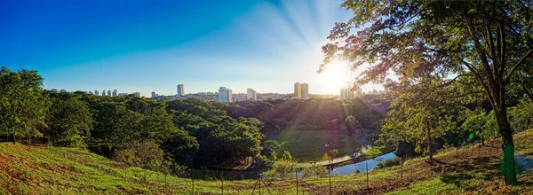 Ribeiro Preto Belediye parkı - So Paulo, Brezilya, mavi gökyüzü ile alacakaranlıkta belediye parkı Curupira Ribeiro Preto şehrinpanoramik görünümü. Panoramik fotoğraf