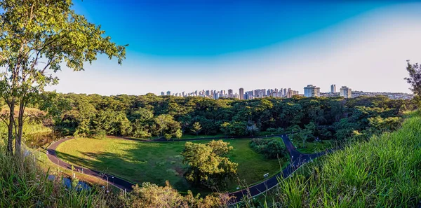 Ribeiro Preto Belediye parkı - So Paulo, Brezilya, mavi gökyüzü ile alacakaranlıkta belediye parkı Curupira Ribeiro Preto şehrinpanoramik görünümü. Panoramik fotoğraf