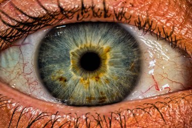 Gözün makrofotoğrafçılığı - Güzel yeşilimsi göz closeup