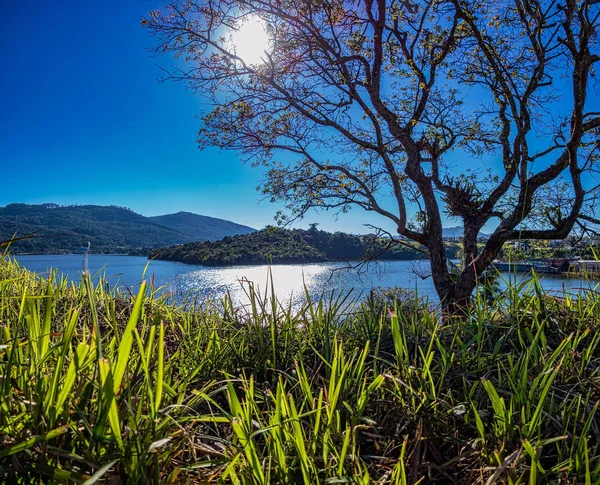 位于巴西米纳斯吉拉斯州的Pocos Caldas市的水塘全景照片 阳光普照在树枝上 — 图库照片