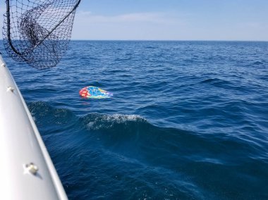 mavi Michigan Gölü su üzerinde yüzen sönük helyum Doğum günü balon