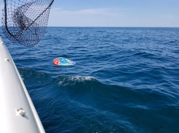 Globo Cumpleaños Helio Desinflado Flotando Agua Azul Del Lago Michigan —  Fotos de Stock