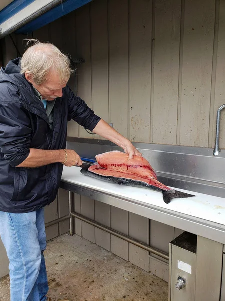 Caucasian Man Filleting Salmon White Counter Fish Cleaning Station — Stock Photo, Image