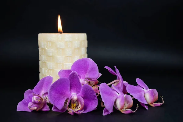 white pillar candle with pink orchid blossom on black