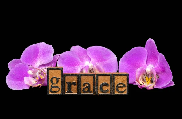 Slovo Grace Dřevěných Knihtisk Vysází Růžové Orchideje Černém Pozadí — Stock fotografie