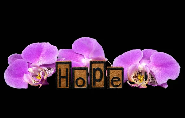 Λέξη Ελπίδα Letterpress Στοιχειοθετημένα Ροζ Ορχιδέα Λουλούδι Μαύρο — Φωτογραφία Αρχείου