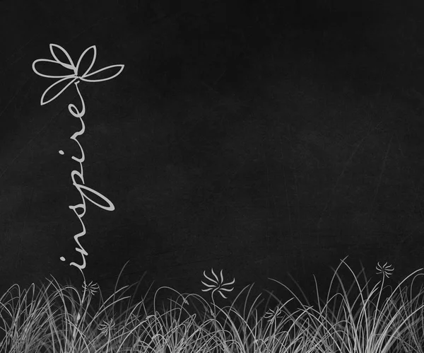 Daisy Grafikai Tervezés Inspirálja Chalkboard Fekete Szöveg — Stock Fotó