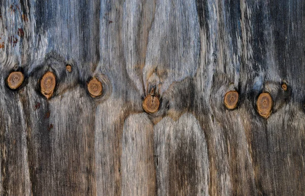Close Rustic Wood Grain Row Burls — Stock Photo, Image