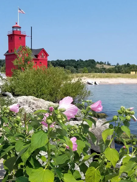Michigan red lighthouse and pink hibiscus in harbor pier