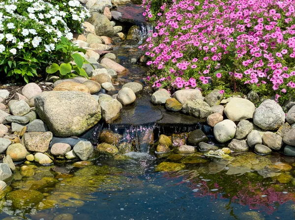 close up of summer rock garden with pink petunia plants and waterfall by pond