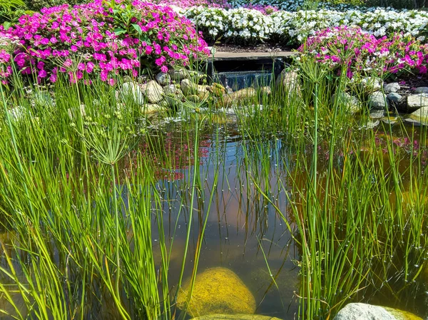 Ornamental Grass Rock Garden Pool Waterfalls — Stock Photo, Image
