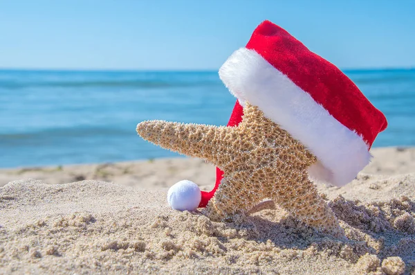 Starfish Beach Sand Wearing Christmas Santa Cap — Stock Photo, Image