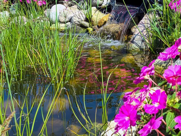 Ornamental Grass Pink Impatiens Flowers Rock Garden Waterfall — Stock Photo, Image