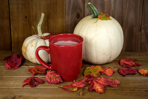 Hot Chocolate Red Mug White Pumpkins Autumn Leaves Rustic Wood — Stock Photo, Image