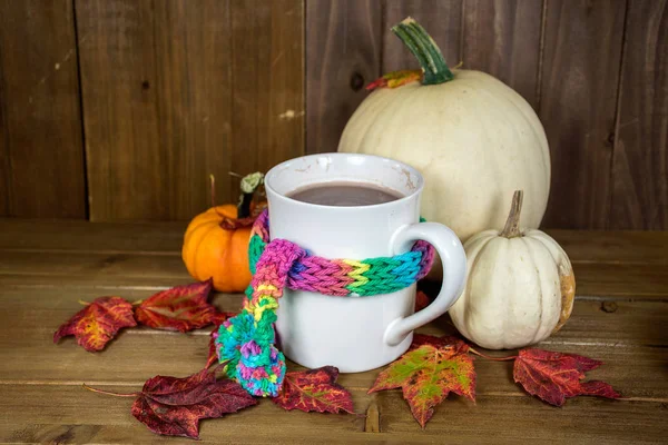 五颜六色的针织围巾裹在白色杯子与热巧克力在秋季叶子和南瓜装饰品 — 图库照片