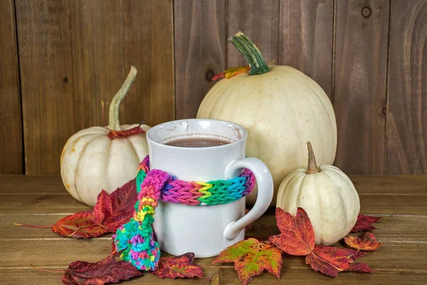 Bebida Chocolate Quente Caneca Com Cachecol Malha Colorido Abóboras Brancas — Fotografia de Stock