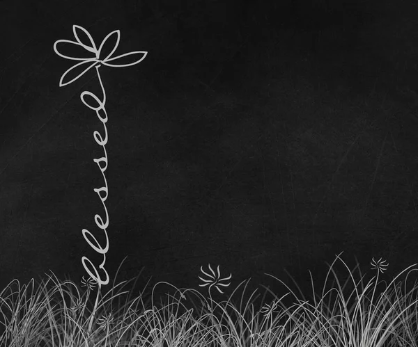 黒い黒板に草の茎の祝福されたテキストの単語の落書きデイジー花図 — ストック写真