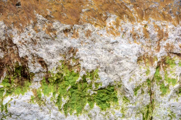 Nahaufnahme Grüner Algen Auf Rauer Felsoberfläche — Stockfoto