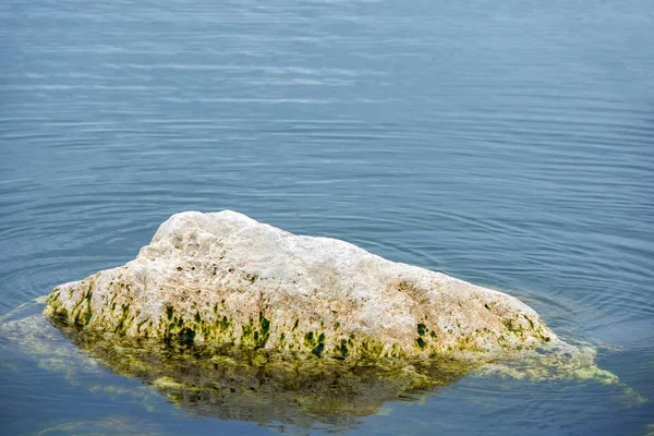 Stor Sten Med Algtillväxt Lake Michigan Vatten — Stockfoto