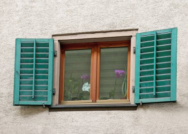 Yeşil Panjur ve çiçek orkide bitki ile Avrupa pencere