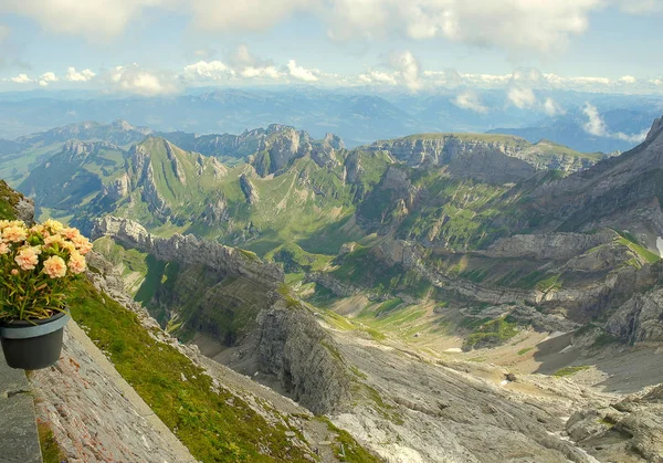 Alpen Bergpanorama Mit Blumen Schwarzen Topf Bludenz Austria — Stockfoto