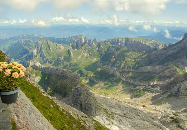 Cena Montanha Panorâmica Dos Alpes Com Flores Vaso Preto Bludenz — Fotografia de Stock