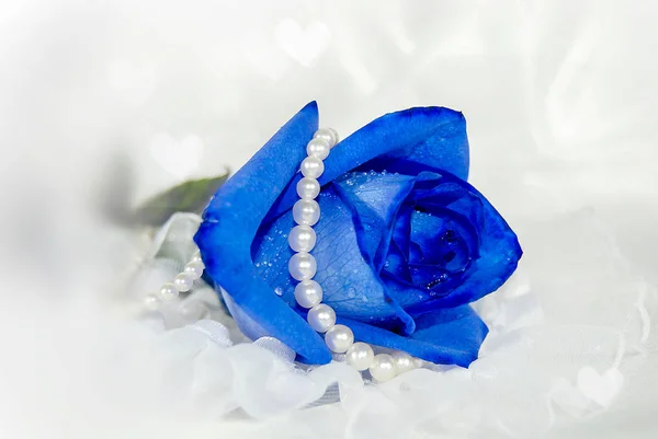 Niebieska Róża Tiulu Białe Perły Bokeh Oświetlenie Serca — Zdjęcie stockowe