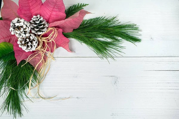 Roter Weihnachtsstern Und Tannenzapfen Mit Grünem Kiefernzweig Und Raffia Schleife — Stockfoto