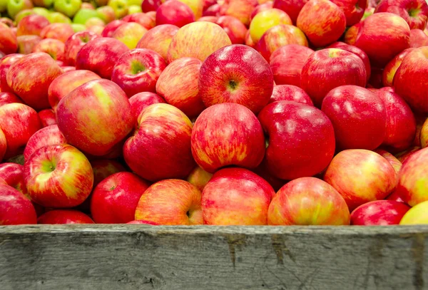 Rote Und Gelbe Michigan Äpfel Rustikaler Holzkiste — Stockfoto