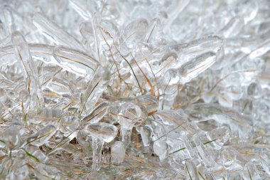 Çimlerin kalın buz tabakası ile kaplı bıçaklar