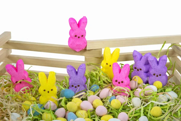 Colorful Easter Bunny Candy Pastel Eggs Wooden Fence — Stock Photo, Image